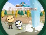 The Curious Penguin