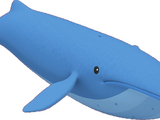 Blue whale