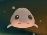 Bob the Blobfish