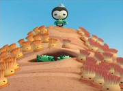 Peso with the anemones