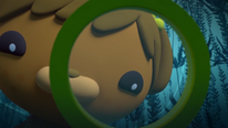 Koshi, Octonauts Wiki