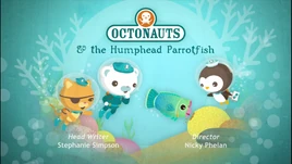 Humphead parrotfish title card