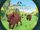 The European Bison