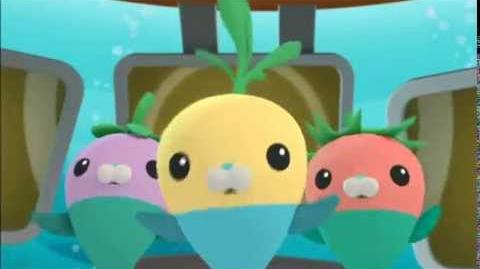 Octonauts Creature Report The Decorator Crab Ep 2-1