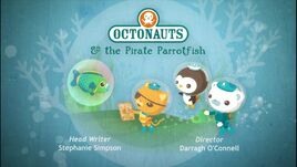 Pirate parrotfish