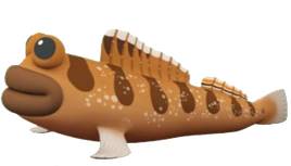 Mudskipper