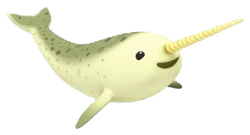 Narwhal