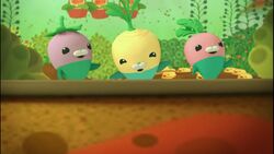 Vegimals Octonauts Wiki Fandom Vegimals Octonauts Wiki Fandom