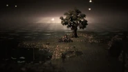 Beneath the tree at New Delsta Anchorage