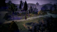 Trousseau in the Rain.jpg (223 KB) In the rain