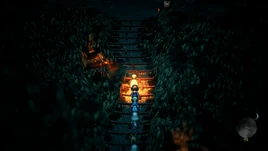 Curious Nest Stairs