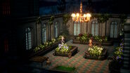 In the garden