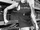 Sadey Paige Nifong