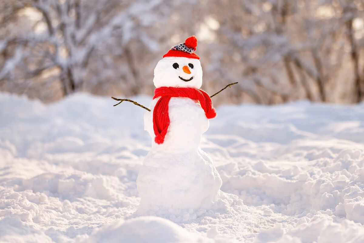 Snowman | Odd Squad Animal Movie Wiki | Fandom
