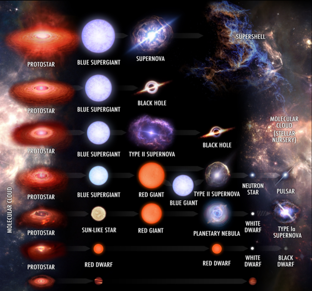 Stellar Evolution Odd Squad (In simple cosmos version) Wiki Fandom