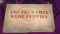 And Then They Were Puppies Odd Squad Wiki Fandom