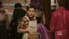 Gardener / Caretaker