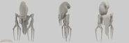 Renders of the Gloktigi Model used in Stranger's Wrath