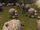 Herding-1-.jpg