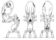 Concept Art of Various Profile Shots of a Vykker