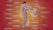 Mudokon Meat Chart to determine the best cut of meat for products, as seen in New 'n' Tasty