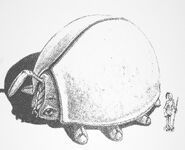 Concept art of an adult Meetle.