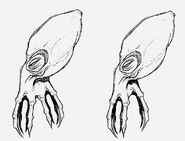 Profile of an Oktigi (Left) and a Hextigi (Right).