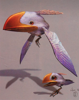 Bird