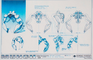 Concept Art of the Kinto's skeletal and muscular anatomy.