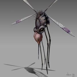 Skeeter