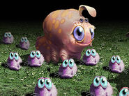 Meetle Larvae in field with Fuzzles.