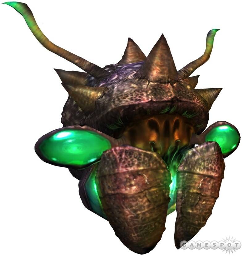 Zappfly.jpg