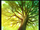 Yggdrasil Tree
