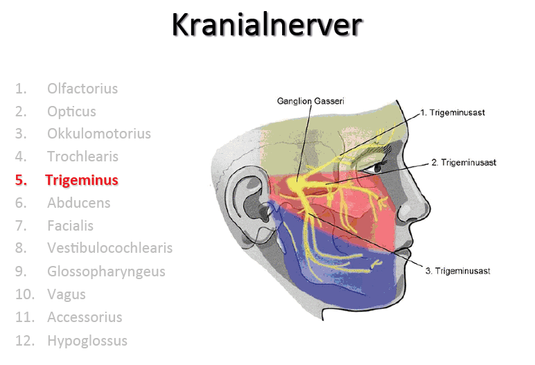 Иглоукалывание лицевой нерв. Невралгия носоресничного нерва. Точки выхода тройничного нерва. Невралгия тройничного нерва массаж. Neuralgia тройничный нерв.
