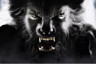 洋書 A Lycanthropy Reader:Werewolves by Otten The Lycanthropy Reader: Werewolves in Western Culture: Otten