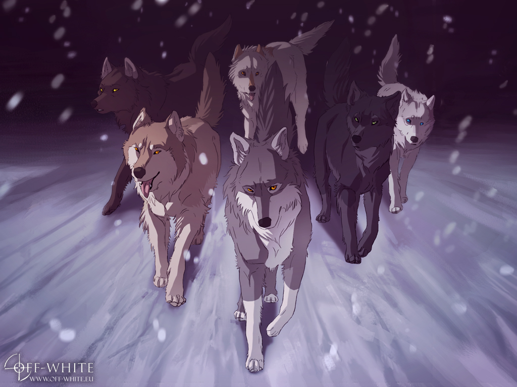 Wolf Bite Pack in 2023 Canine drawing, Anime wolf, Wolf art