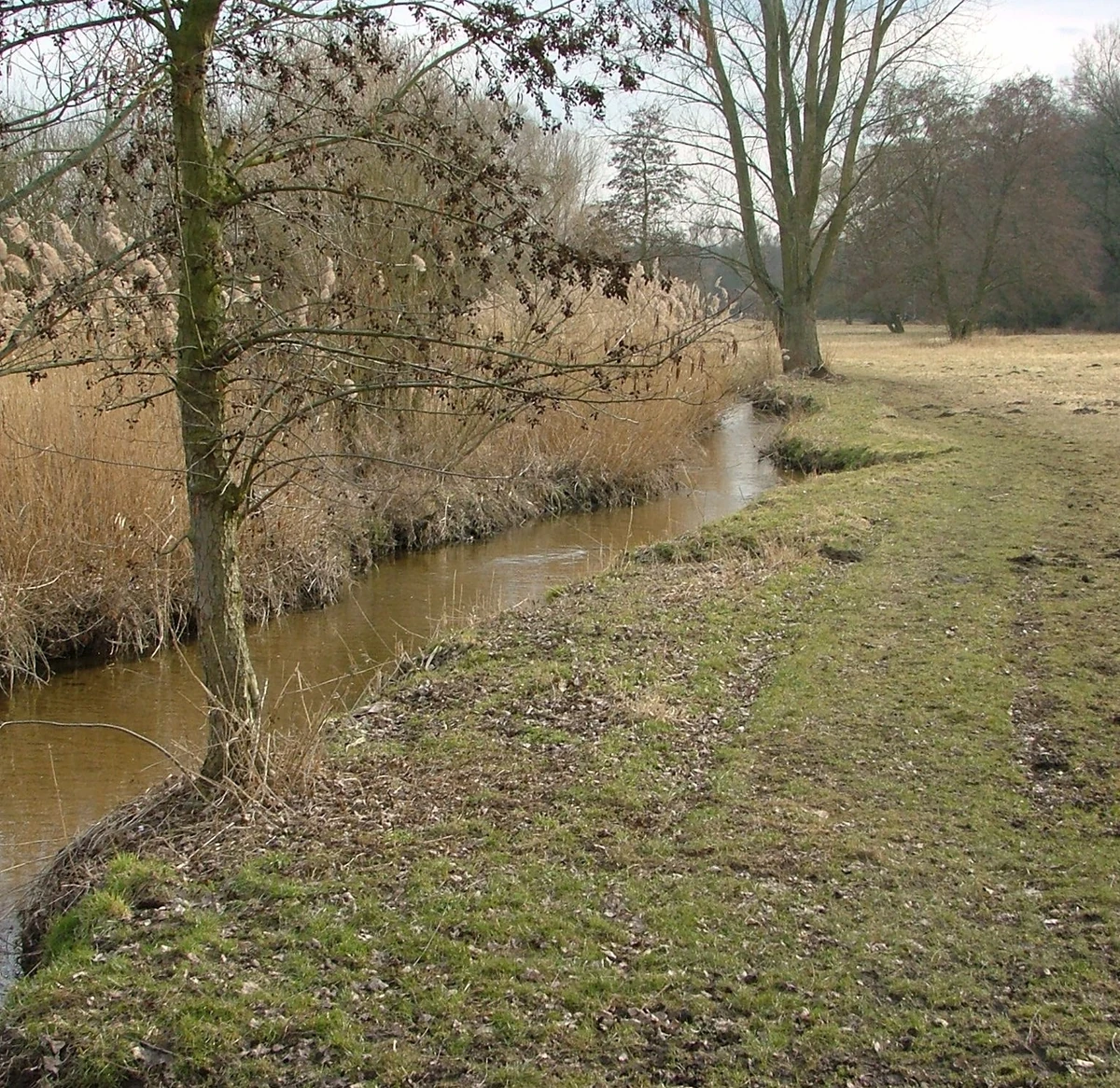 Bieber (Bach) OffenbachWiki Fandom