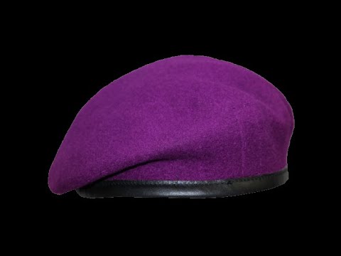 Purple Beret Uprising | Offical Townia Wiki | Fandom