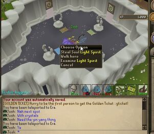 Light spirit.jpg