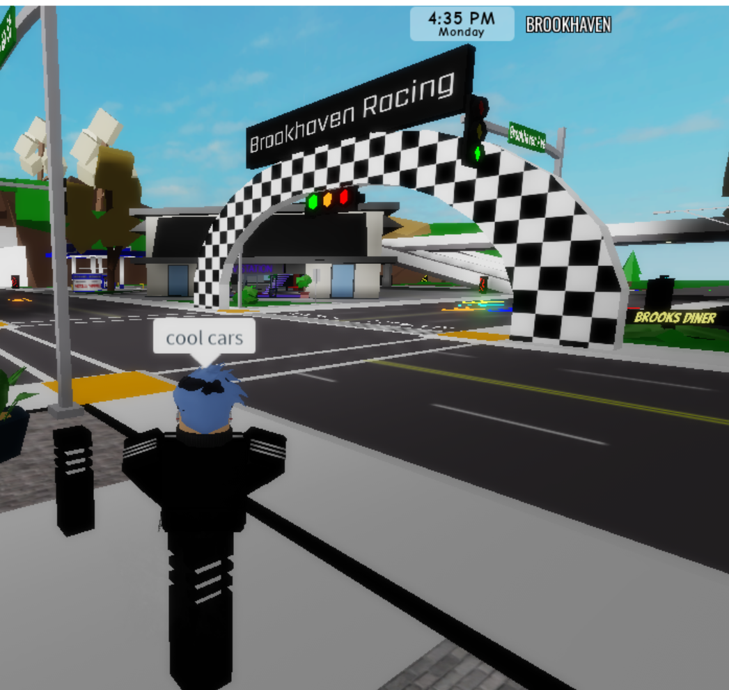 UNLOCKING* The Best Cars in Roblox BROOKHAVEN
