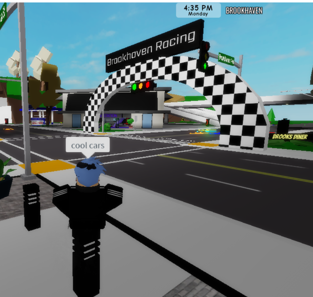 What's the point of themes in Brookhaven? : r/roblox