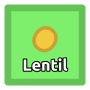 Lentil