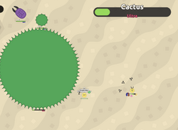 Florr.io, random DigDig thingy spawn 