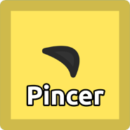Unusual Pincer.