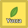 Yucca