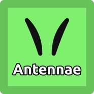 Common Antennae. (Unobtainable)