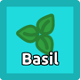 Basil