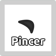 Pincer.