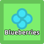 Blueberries