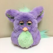 Purple and green Funky furby